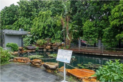 植物醫(yī)生透明工廠 智能制造引領(lǐng)國妝自主生產(chǎn)新潮流，生態(tài)環(huán)境材料銷售成亮點(diǎn)